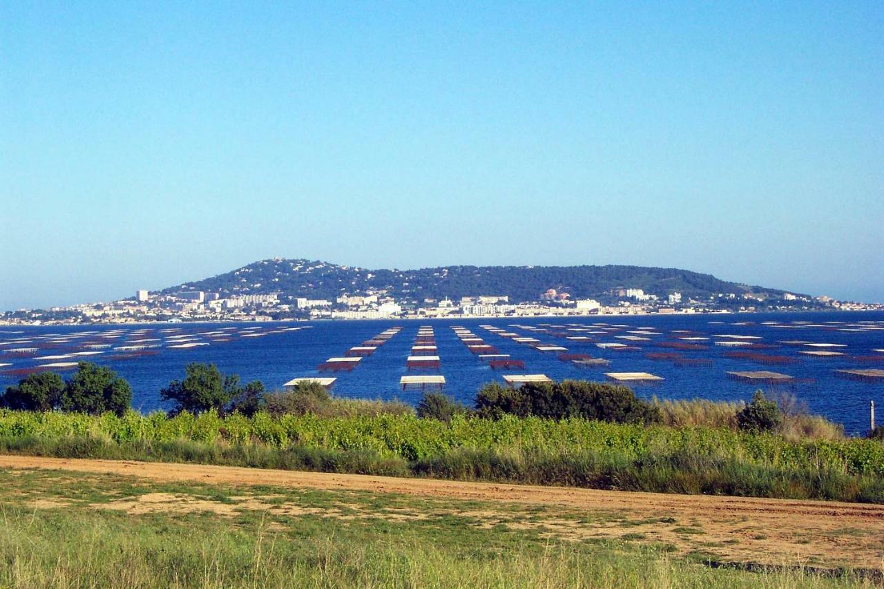 Ferienwohnung Port Mezua Mèze Exterior foto